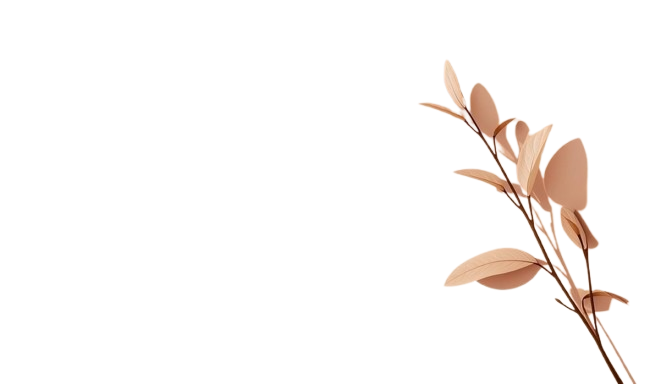 WhatsApp_Image_2025-10-22_at_9.09.50_AM__2_2-removebg-preview