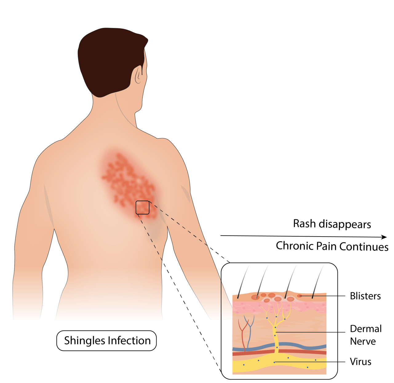 Revised-22-01-1-2048×1459-1
