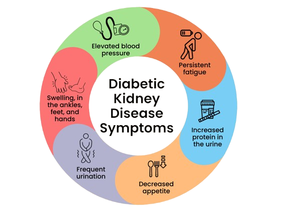Diabetic Kidney Problems