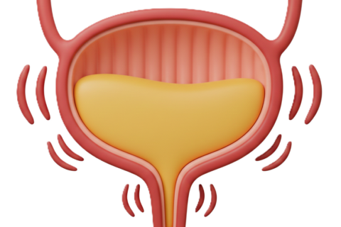 Multimodal Ultrasound Feasible for Identifying Pediatric Neurogenic Bladder