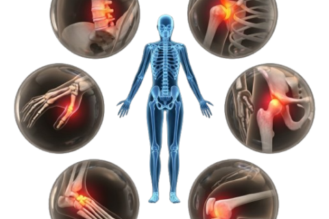 Scientists Test New Ways To Regrow Joints Damaged by Arthritis