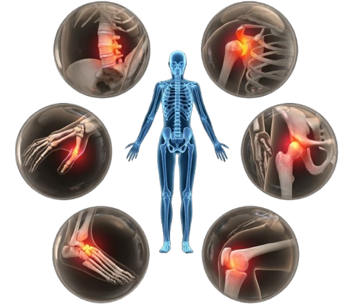Scientists Test New Ways To Regrow Joints Damaged by Arthritis