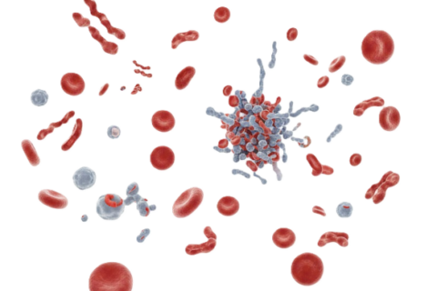 What are the benefits of reducing salt in processed foods?