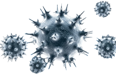 This Treatment Can Improve Your Odds Of Surviving C. Diff Infection