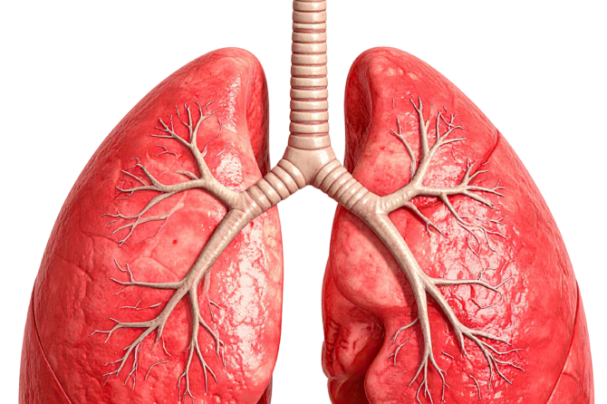 New Technologies Make Lung Cancer Diagnosis, Treatment Quicker and Safer