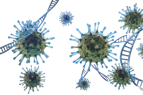 9 Now Sickened in Outbreak Tied To Raw Milk and Cheese