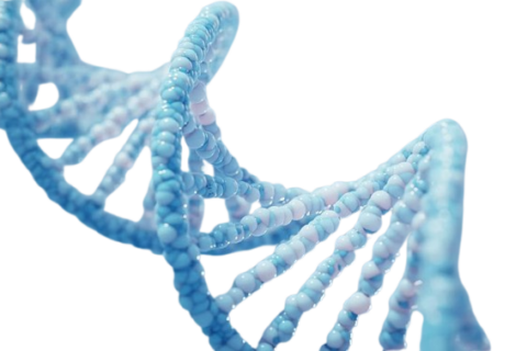 DNA-Based Blood Test Could Help Guide Throat Cancer Treatment