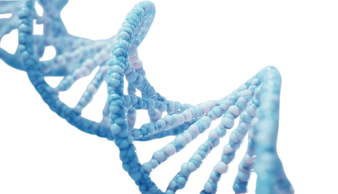 DNA-Based Blood Test Could Help Guide Throat Cancer Treatment