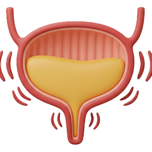 Multimodal Ultrasound Feasible for Identifying Pediatric Neurogenic Bladder