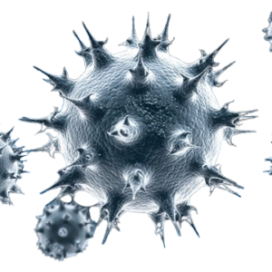 H9N2 Bird Flu Hits Europe as First Human Case Confirmed in Italy