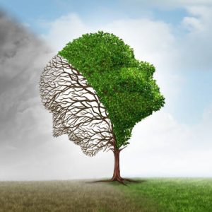 Mood disorder or Bipolar disorders diagnosis and schizophrenia symptoms as mental health psychiatric or emotional swings and psychotic evaluation  in a 3D illustration style.