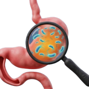 Accurate diagnosis and complex treatment… How do we deal with stomach bacteria?