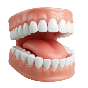 A key step towards oral health: A practical guide to choosing the right toothpaste